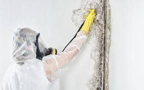 Asbestos and Lead Testing During Mold Inspection in Valley Falls, KS